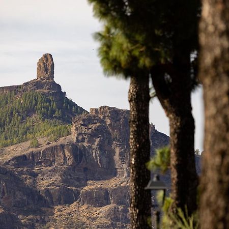 Casa Maria With Roque Nublo View Leilighet Tejeda  Eksteriør bilde