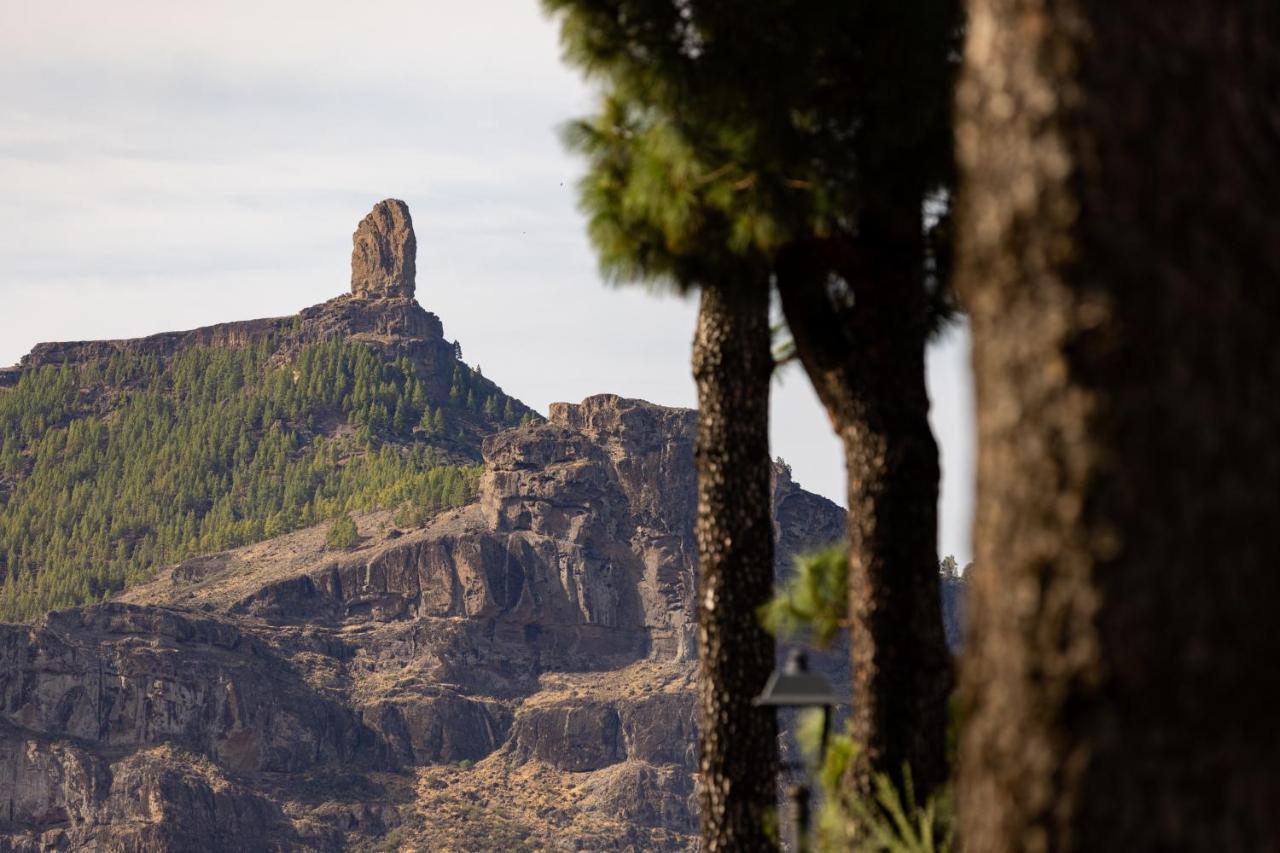 Casa Maria With Roque Nublo View Leilighet Tejeda  Eksteriør bilde